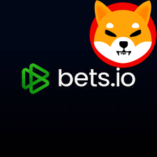 Best Shiba Inu Casinos No KYC Required BetsIo